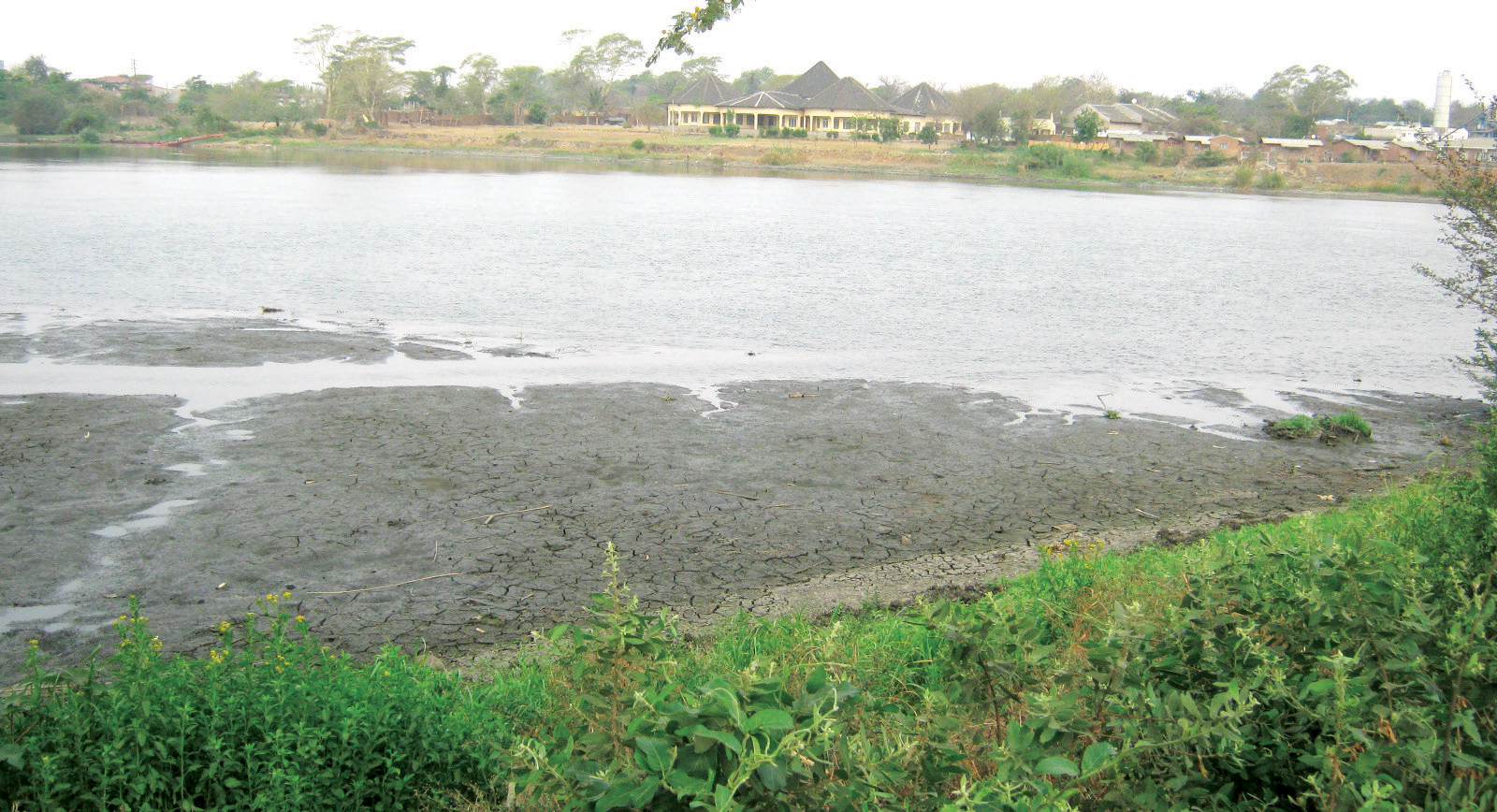 Taking on bilharzia on water sources, land – The Times Group