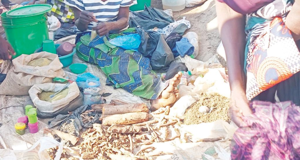 Herbal medicine under scrutiny